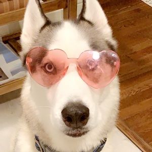 Meet your Posher, Whittney